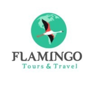 Flamingo Travel Services